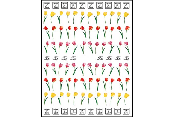 61 - Tulip Stickers